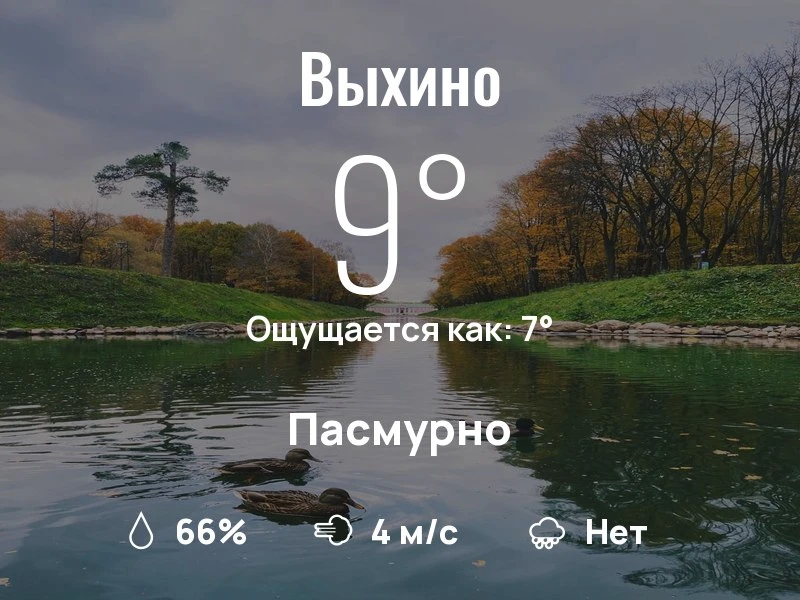 Что с погодой в Выхино?