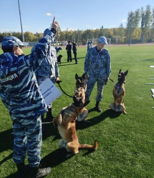 👮🐕Орловские полицейские и их напарники - служебные собаки завоевали второе место во в...