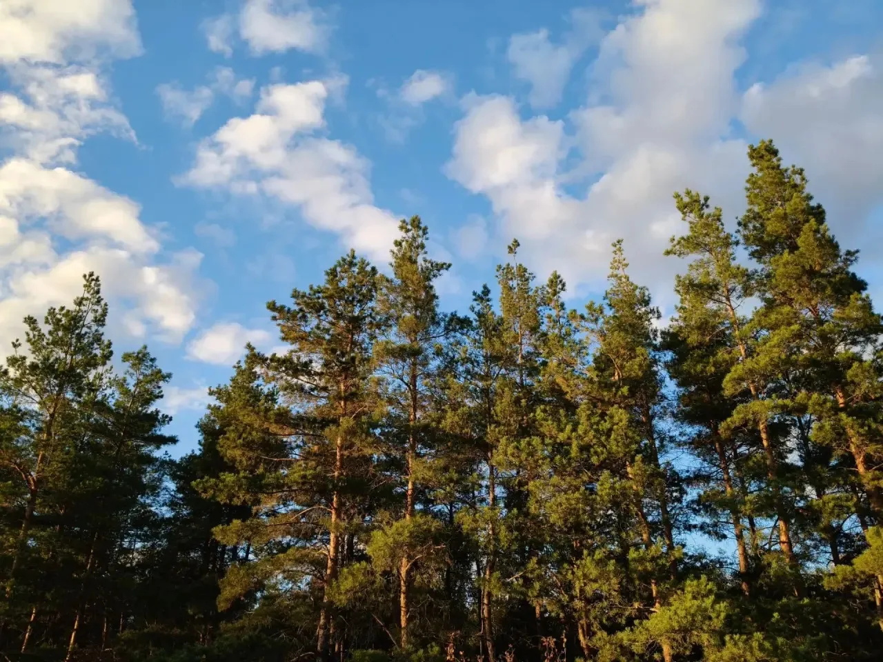🍂 Край, в котором мы живём…