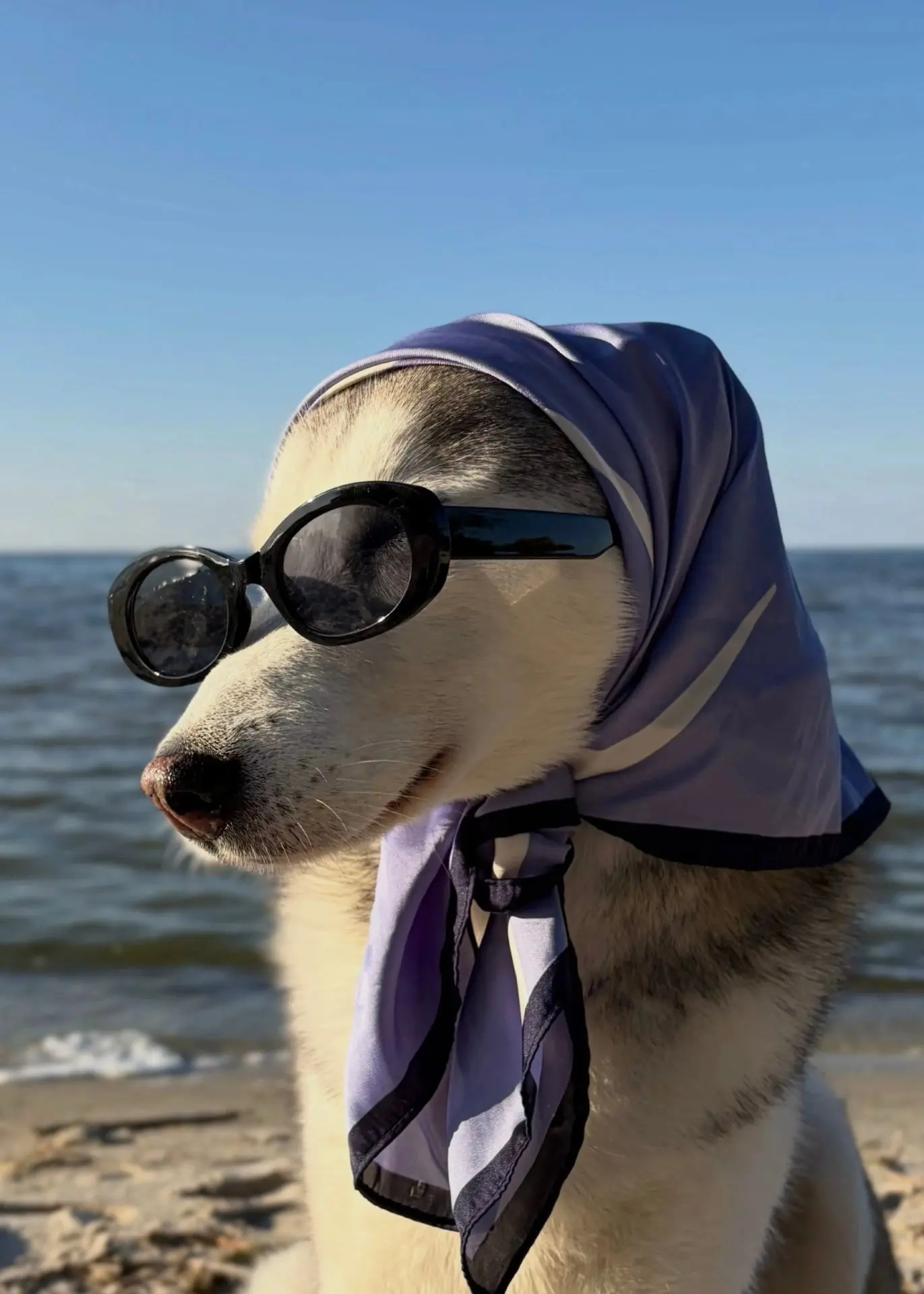 Доброе утро, друзья! 😎
