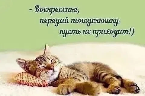 Сегодня магазин «Мечта во флаконе» 🦩работает с 11:00 до 18:00 🕕