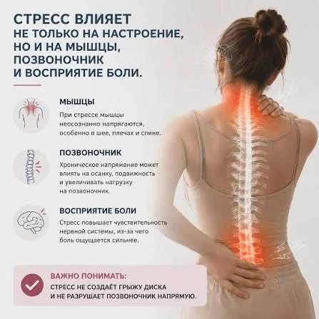 Стресс вызывает рефлекторное сжатие мышечных волокон, что приводит к спазмам, хроническ...