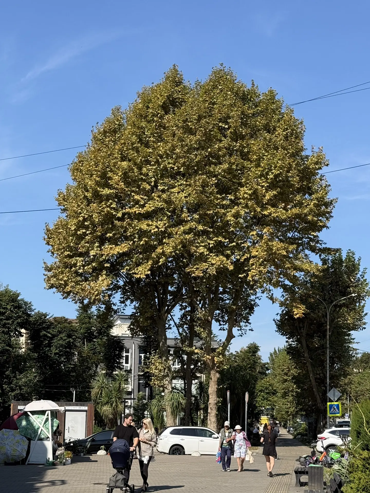 Погода стоит шикарная! ☀️ Самое время гулять, ловить солнечные лучи и запасаться теплом...