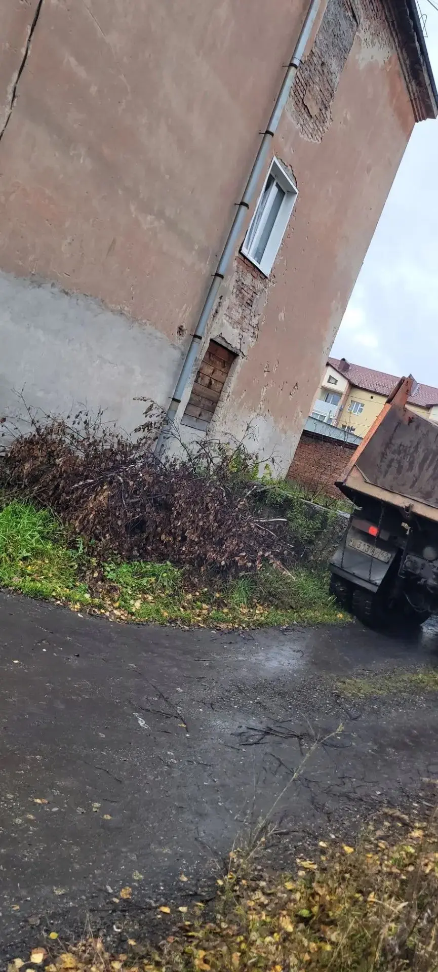 пер. Фасадный, 2, вывоз веток с придомовой территории