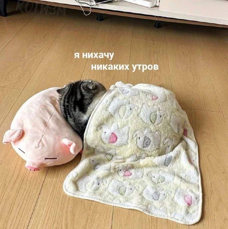 😄 Подпишись: Юмор и мемы