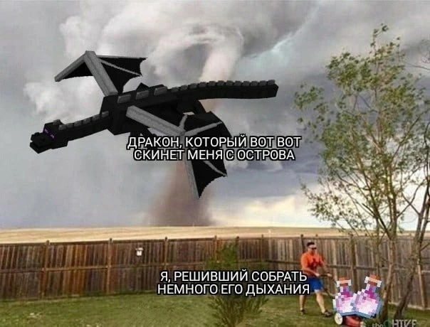 🤣