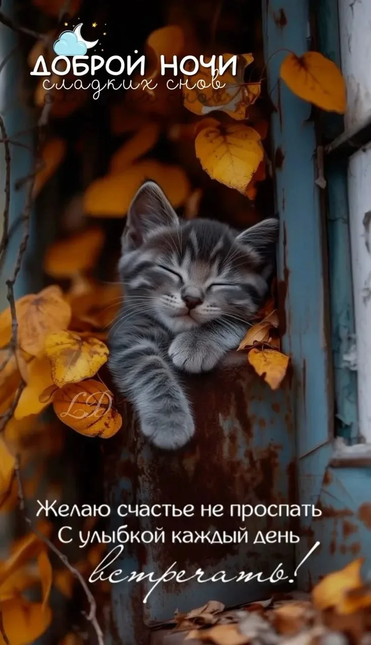 😍 Лучшие ОТКРЫТКИ и Классные ВИДЕО