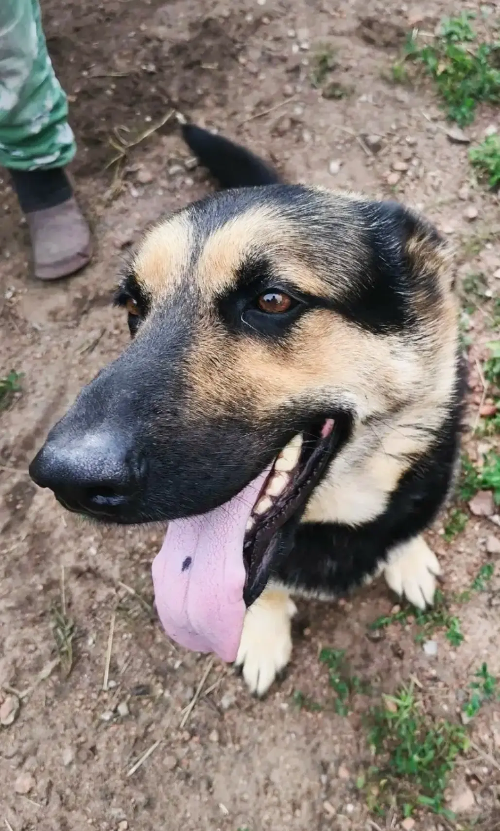 Новости нашего 🙏 приюта