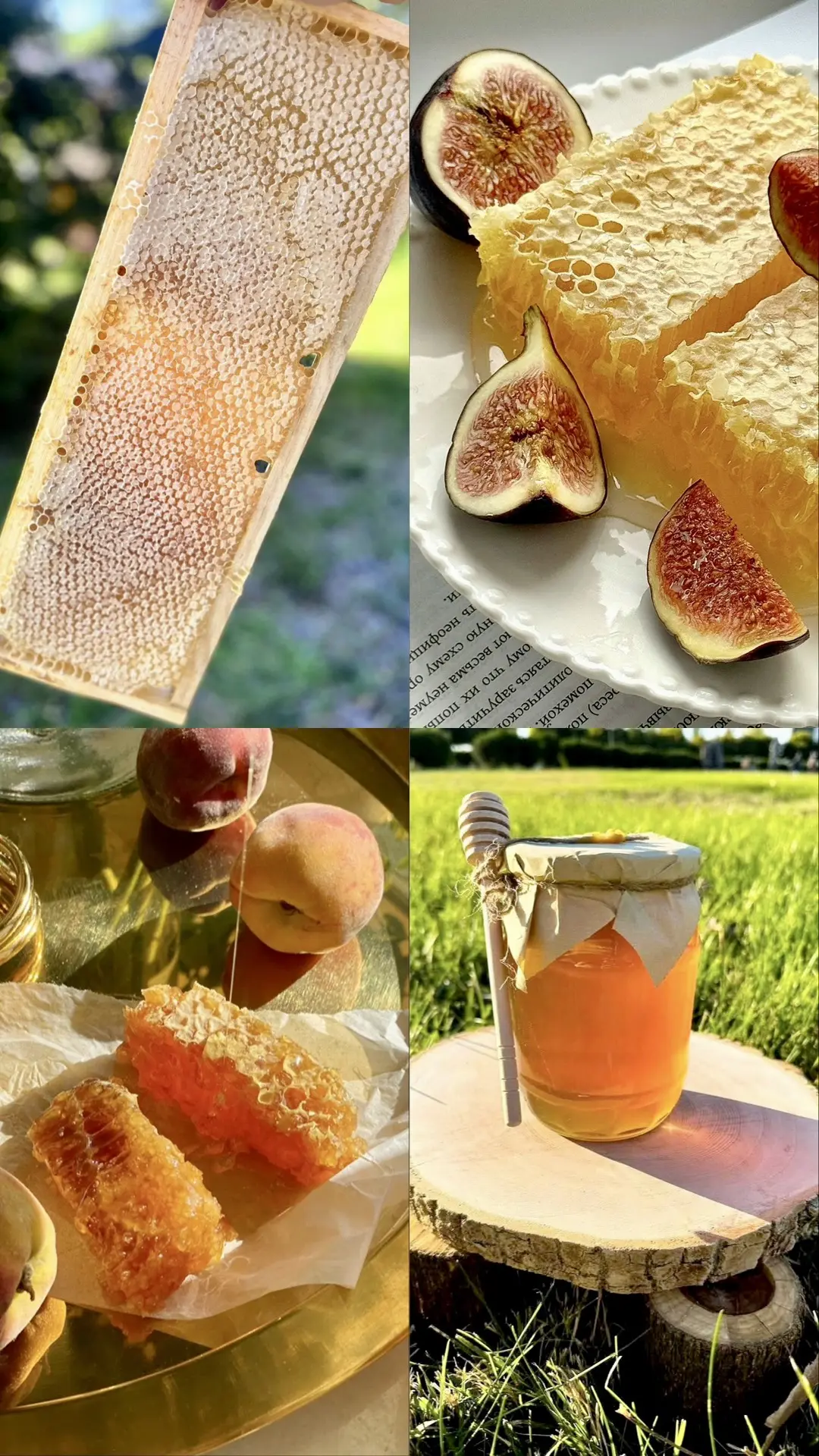🍯 Натуральный мёд из дикого леса: вокруг только медоносы, без трасс, производств и обр...