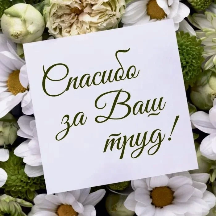 ❤️Очень приятно получать слова благодарности от наших получателей социальных услуг!