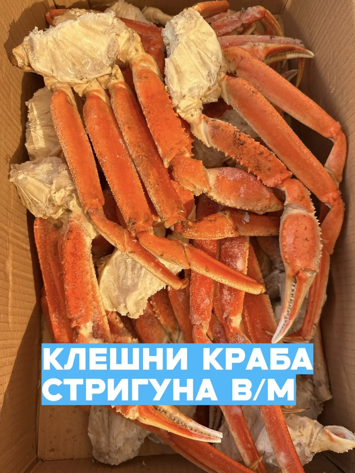 ‼️ ЗАВЕЗЛИ КЛЕШНИ КРАБА СТРИГУНА ‼️🔥🦀