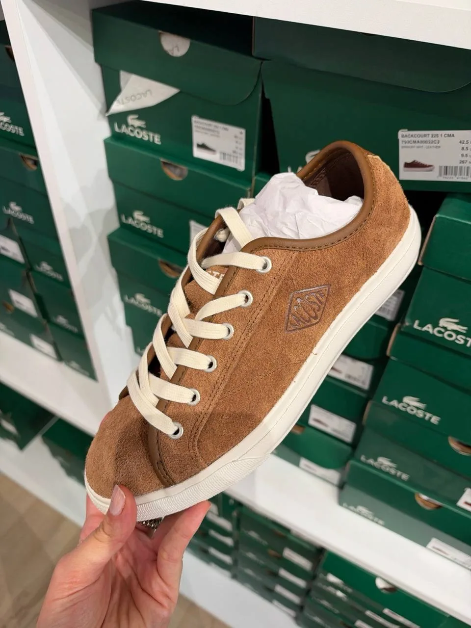 LACOSTE🏷️