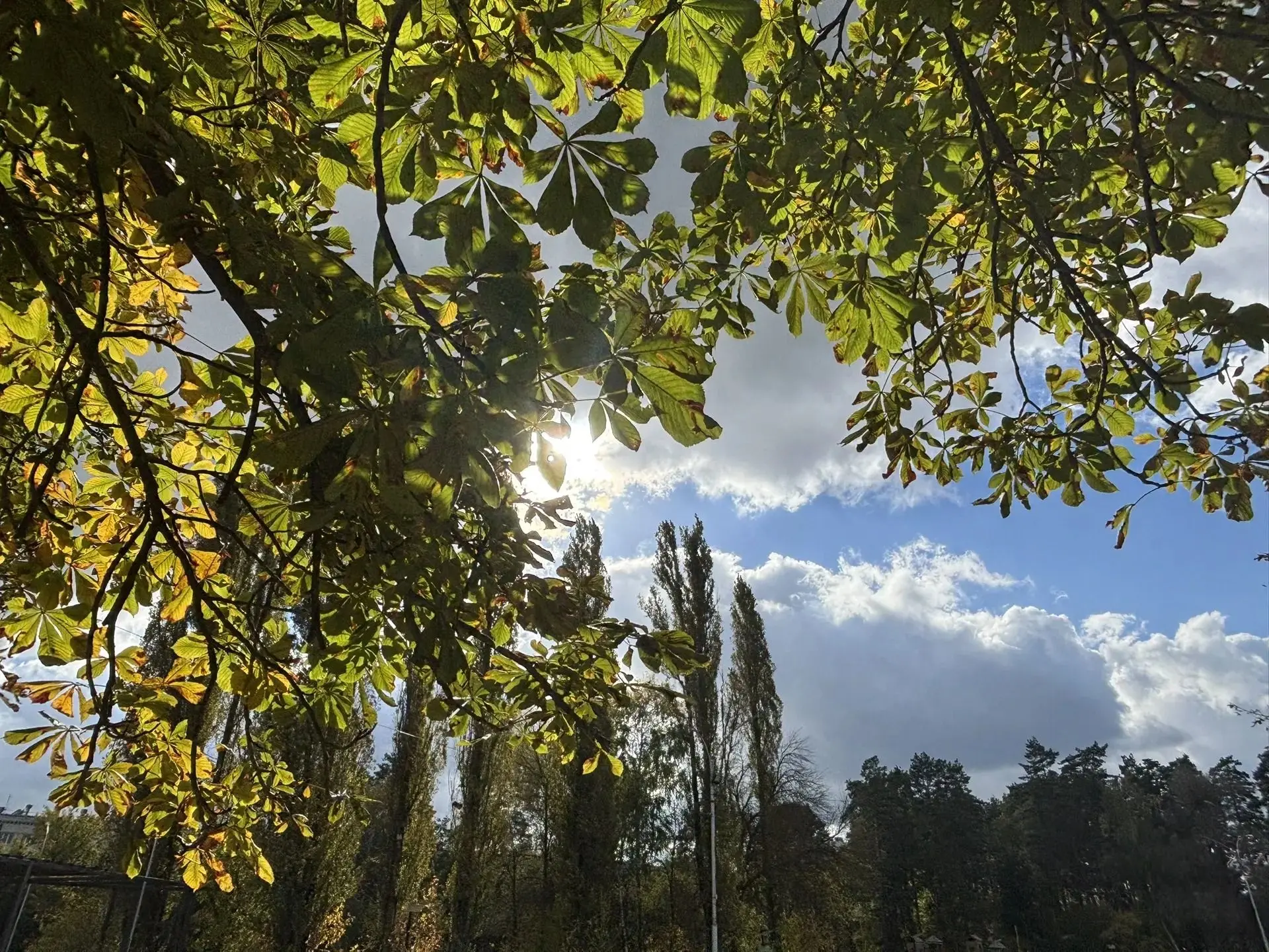 🌞🍁Рабочая неделя в Пензенской области начнется с +22 градусов