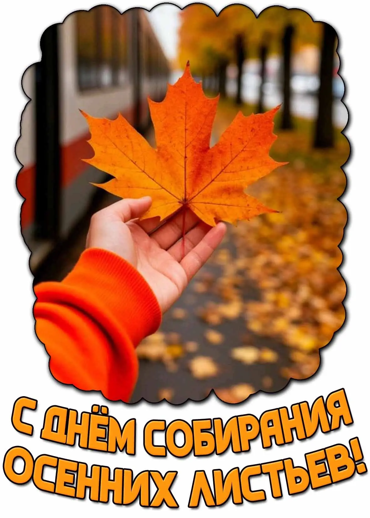 #ПраздникСегодня 🍁