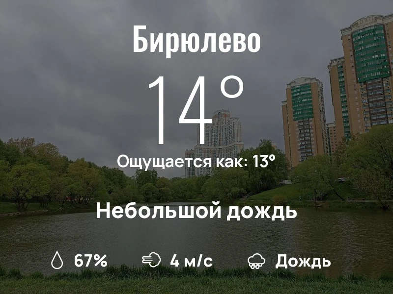 Что с погодой в Бирюлево?