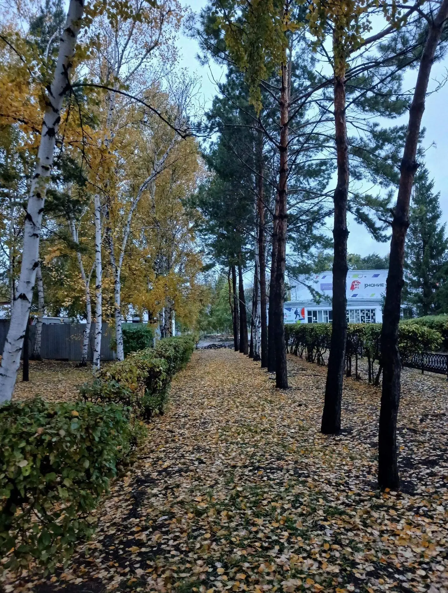 Доброе утро, дорогие друзья!