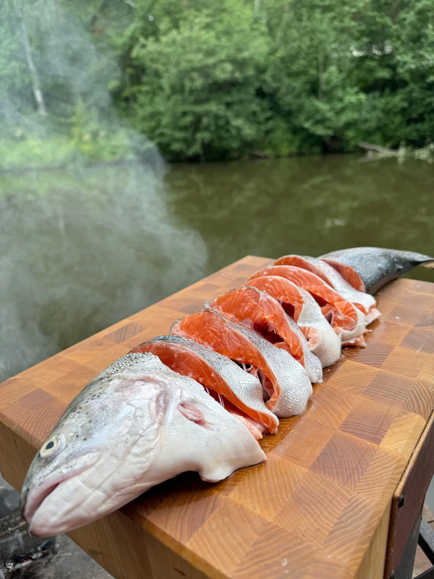 🐟 ОХЛАЖДЁННАЯ ФОРЕЛЬ — ИКОРНОСТЬ 98%! 🐟