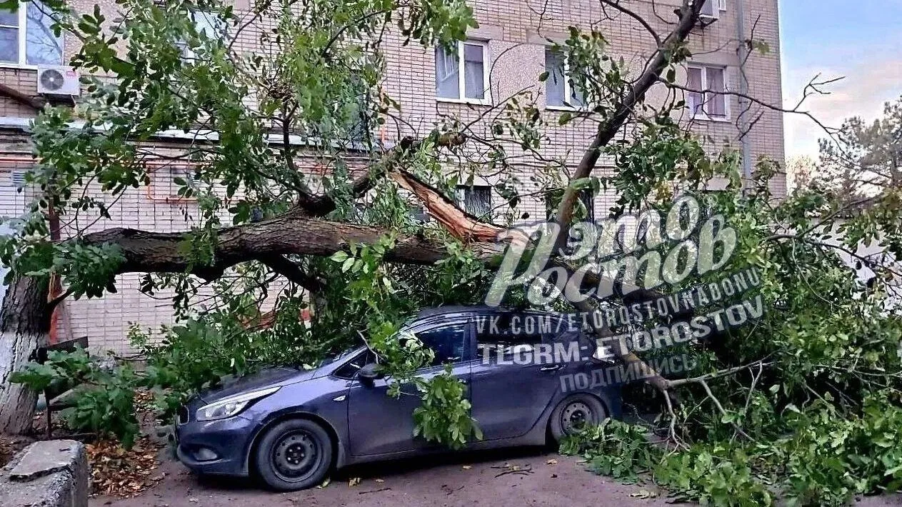 💨 Ветер в Ростове стихнет после 30 октября — горожане смогут выдохнуть! 🍂