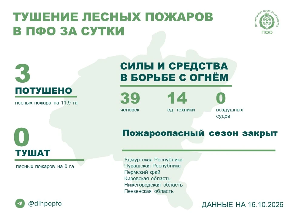 🔥️ За прошедшие сутки в регионах ПФО потушено 3 лесных пожара.