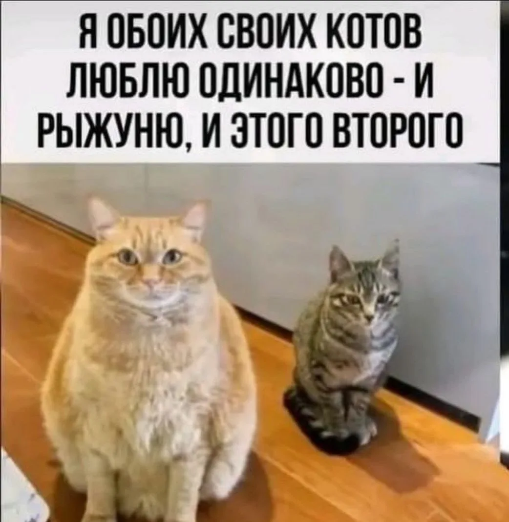 КУКУРУЗА 🌽