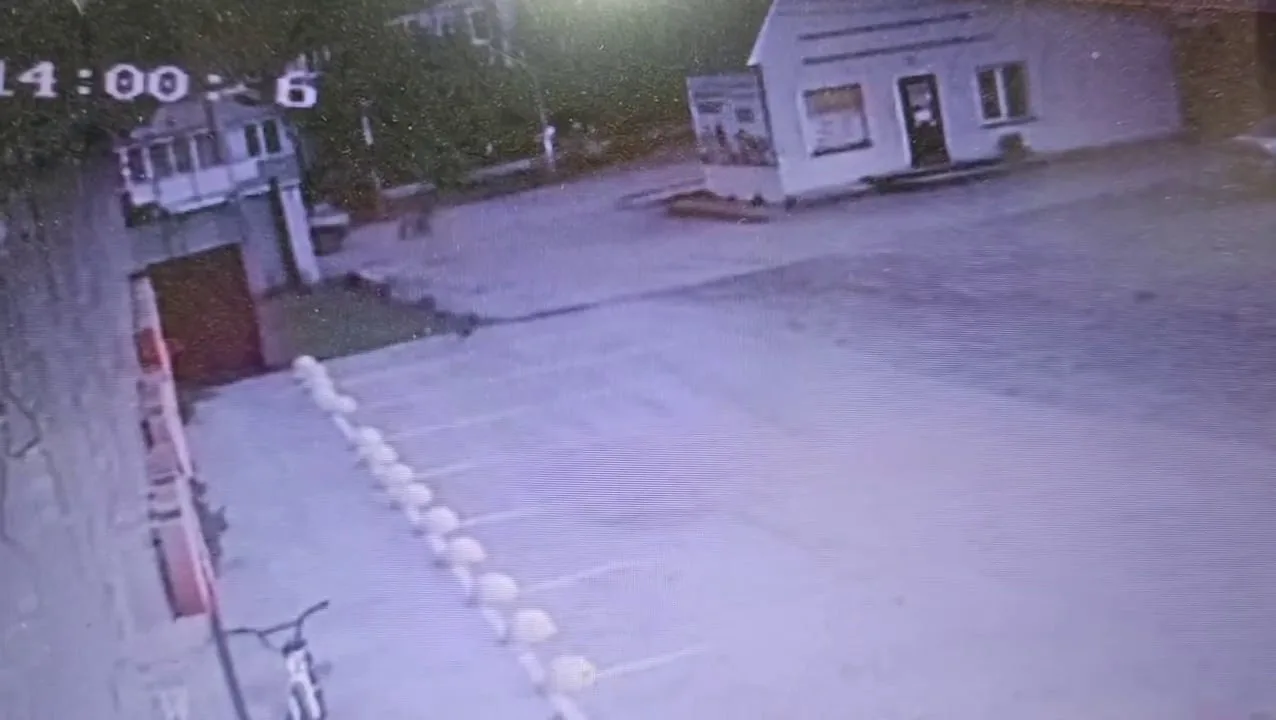 Автомобилист на пешеходном переходе сбил ребёнка с велосипедом. ДТП случилось накануне ...