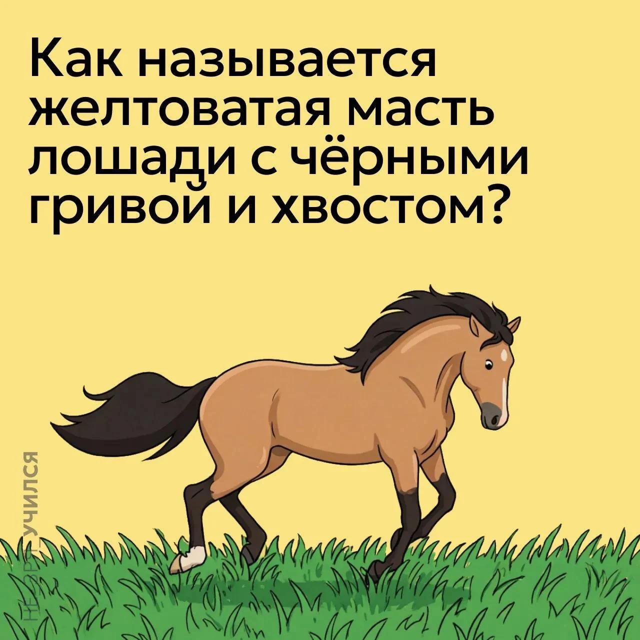 🤔 Что означает сказочное выражение Сивка-бурка, вещая каурка и каково его происхождени...