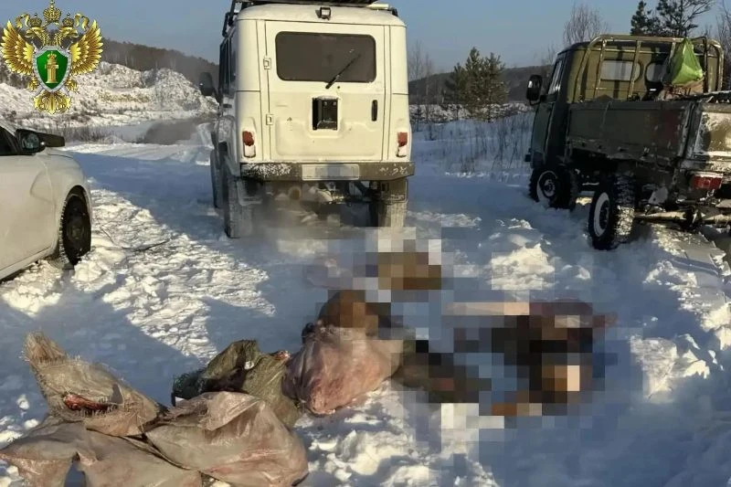 В Шимановском округе прокуратура добилась выплаты браконьерами 760 тысяч рублей за ущер...
