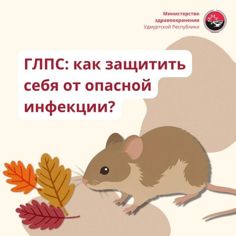 🐭 ГЛПС: как защитить себя от опасной инфекции?