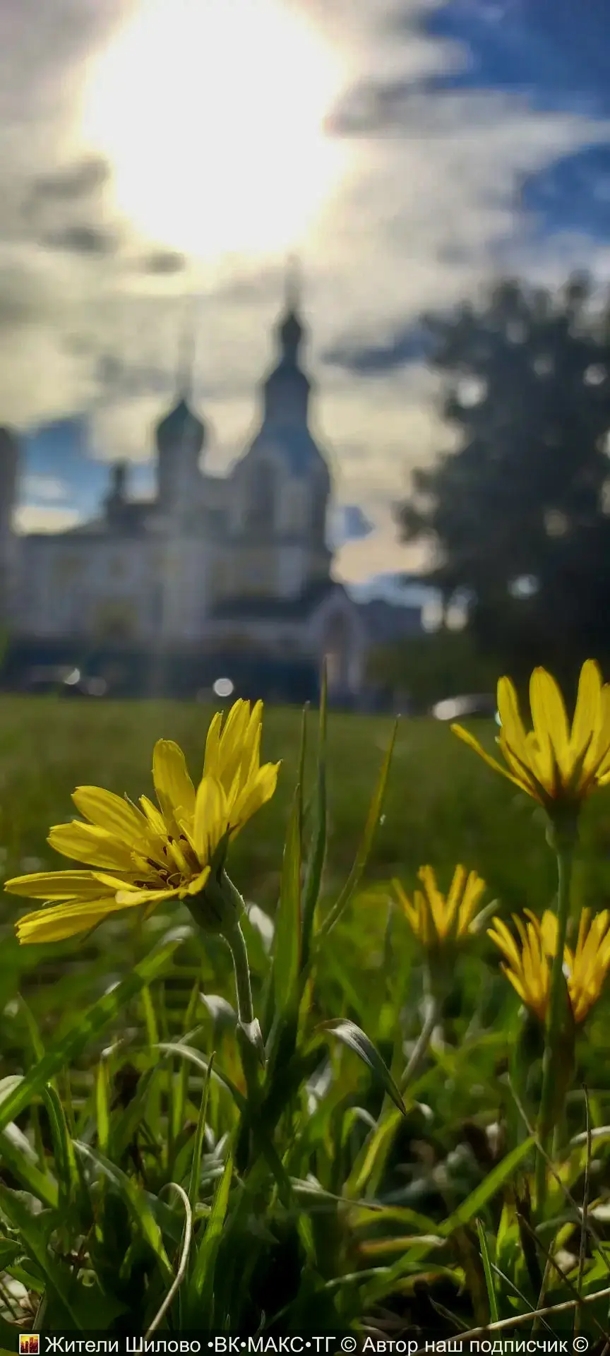 🌼 Красота осени 2026 ❤️