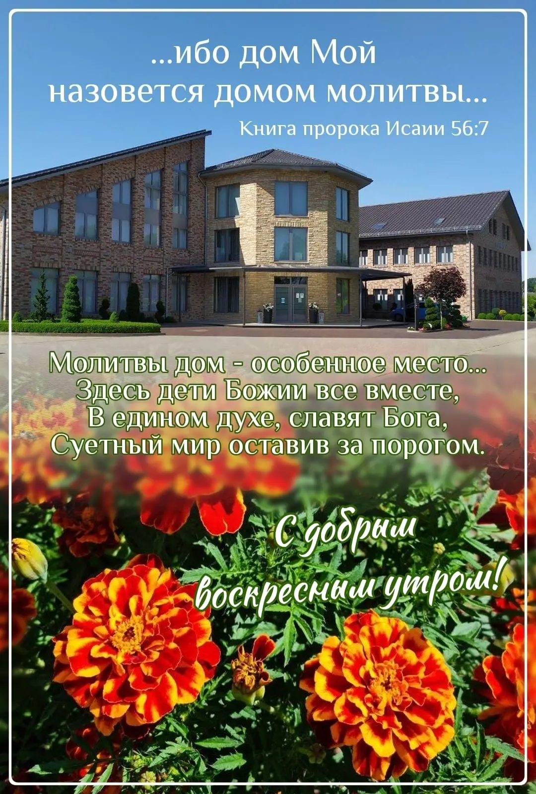 #утро