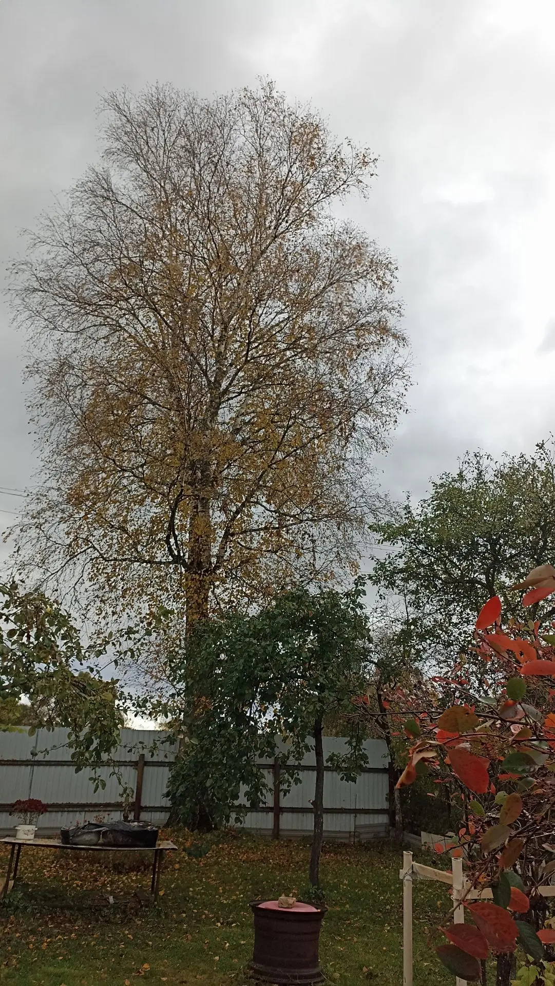 Доброго утра, друзья☺. Хорошего дня и отличного настроения❤🍂