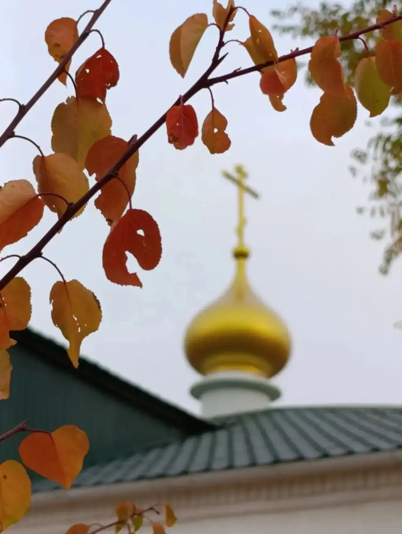 Дорогие мои, ещё раз с праздником.