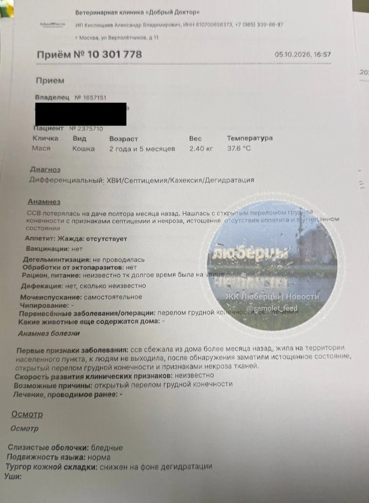 #нампишут