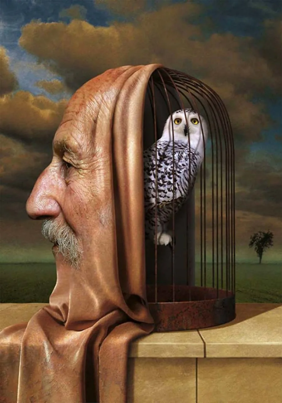 Какую правду о себе мы прячем под замок? 🦉🗝️