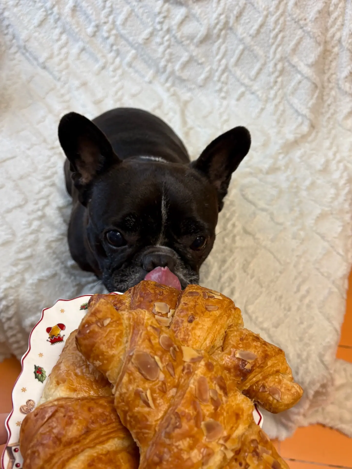 Доброе утро и приятного аппетита 🥐