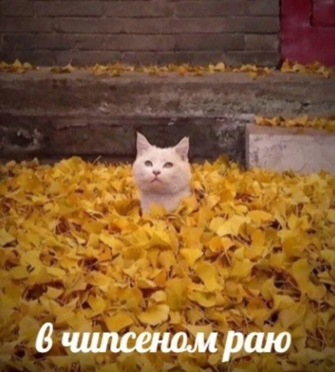 🌡☀️В Татарстане ожидается аномально теплая неделя