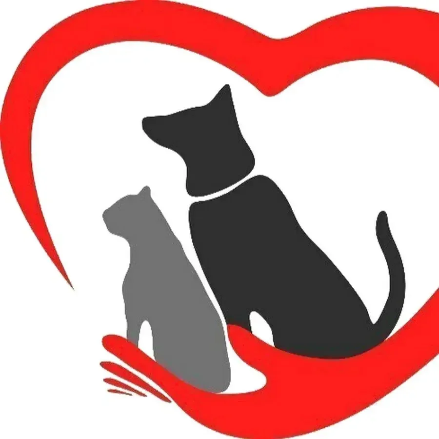 🐾 В нашей школе продолжается акция «Мы в ответе за тех, кого приручили» ❤️
