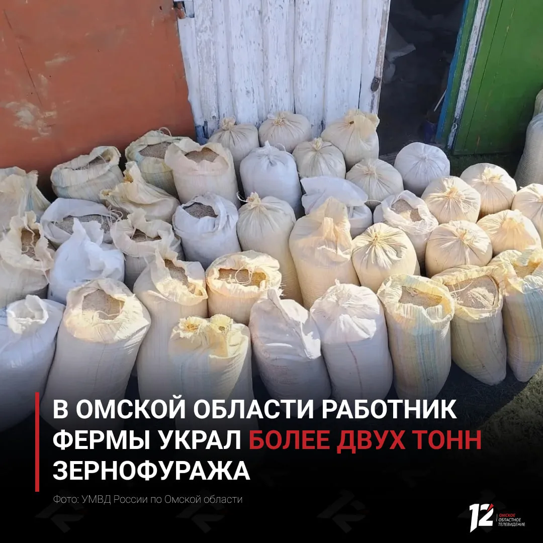 🌾 В Омской области работник фермы украл более двух тонн зернофуража