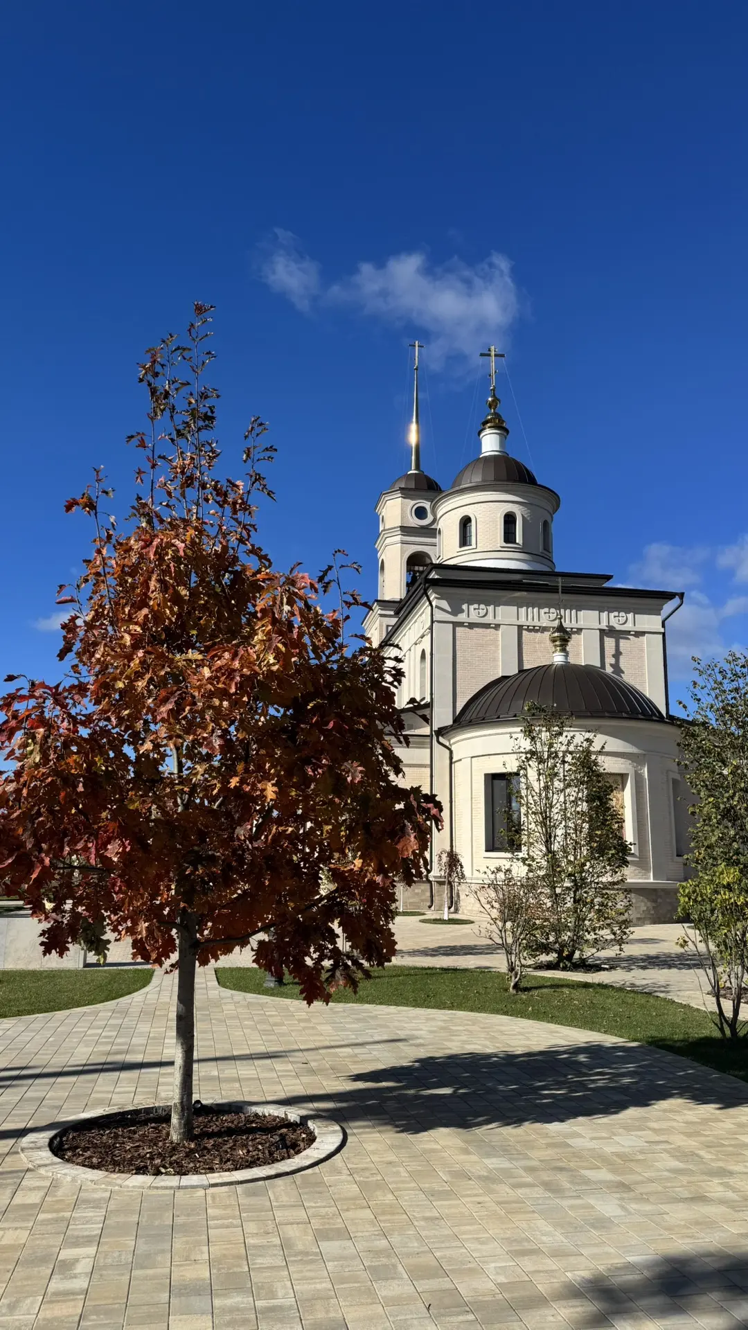 🍁 Краски осени.