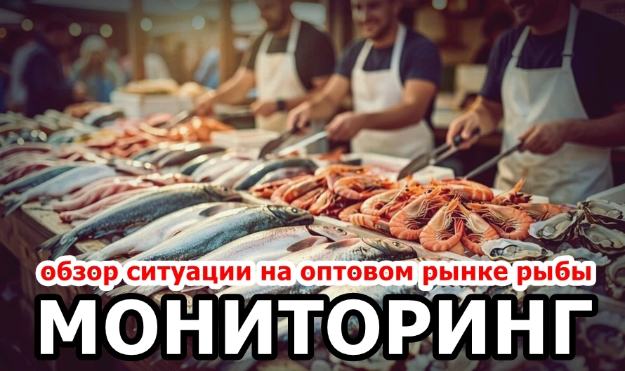 🐟 Еженедельный обзор ситуации на оптовом рынке рыбы (мониторинг к 13 октября)