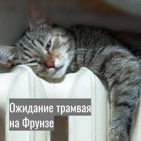 В Калининграде обустраивают трамвайные остановки с подогревом.