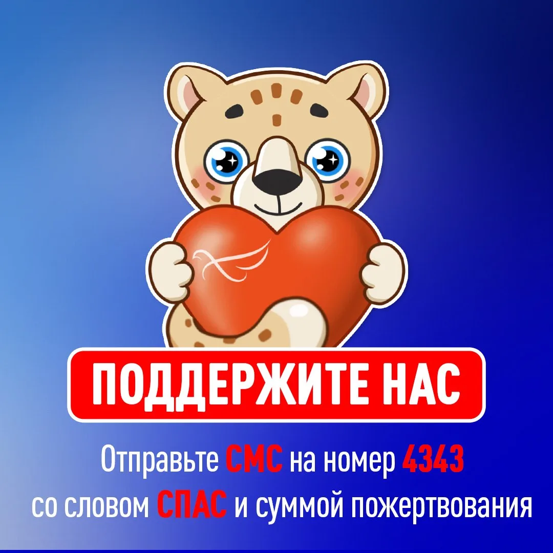 Дорогие друзья, благодаря вам телеканал «СПАС» растёт и развивается