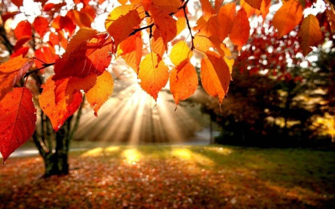 ☀️ Тепло возвращается! Ловим последние уютные деньки в выходные 🍂