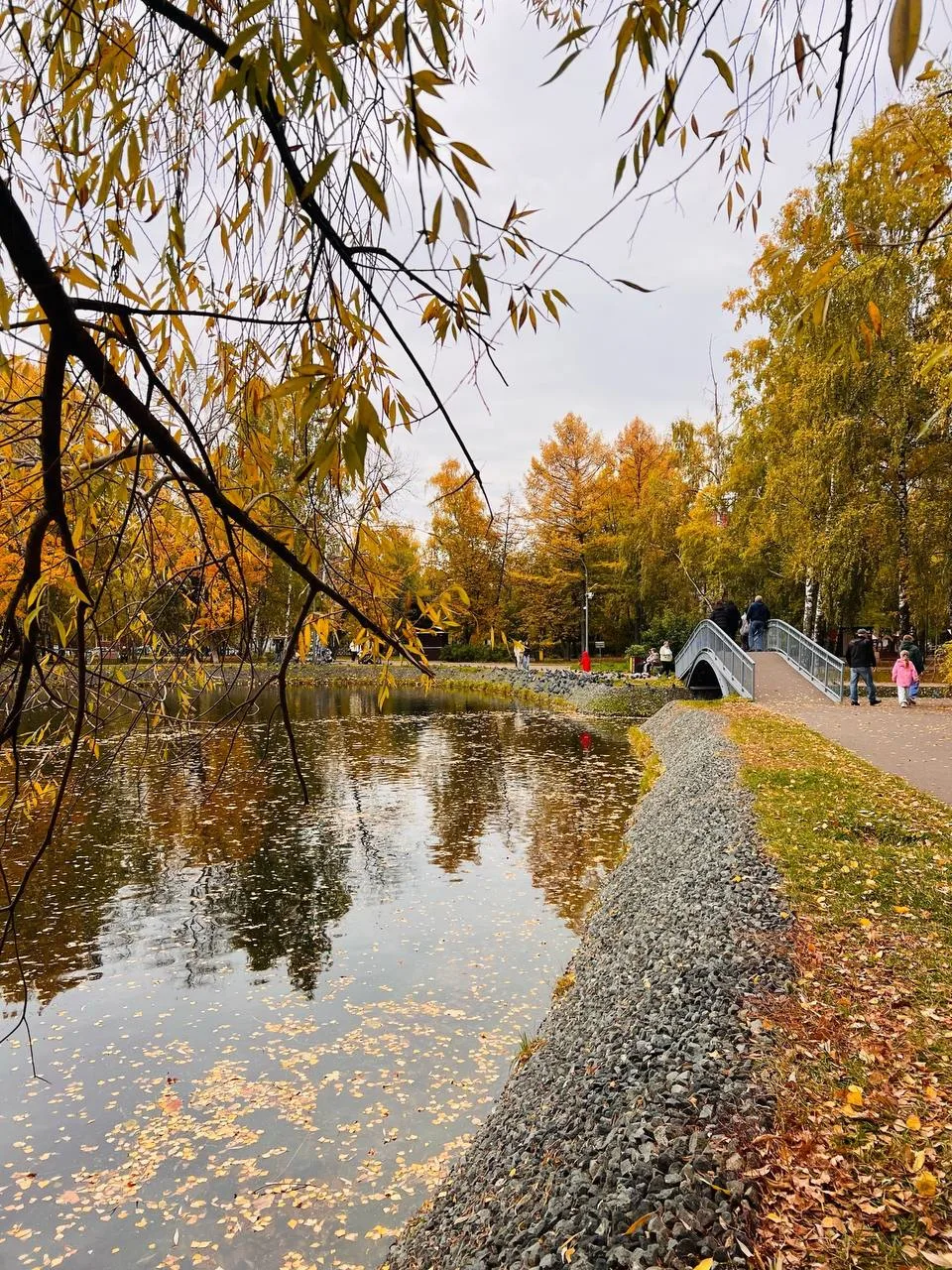 🍂 Золотая осень в парке Урицкого