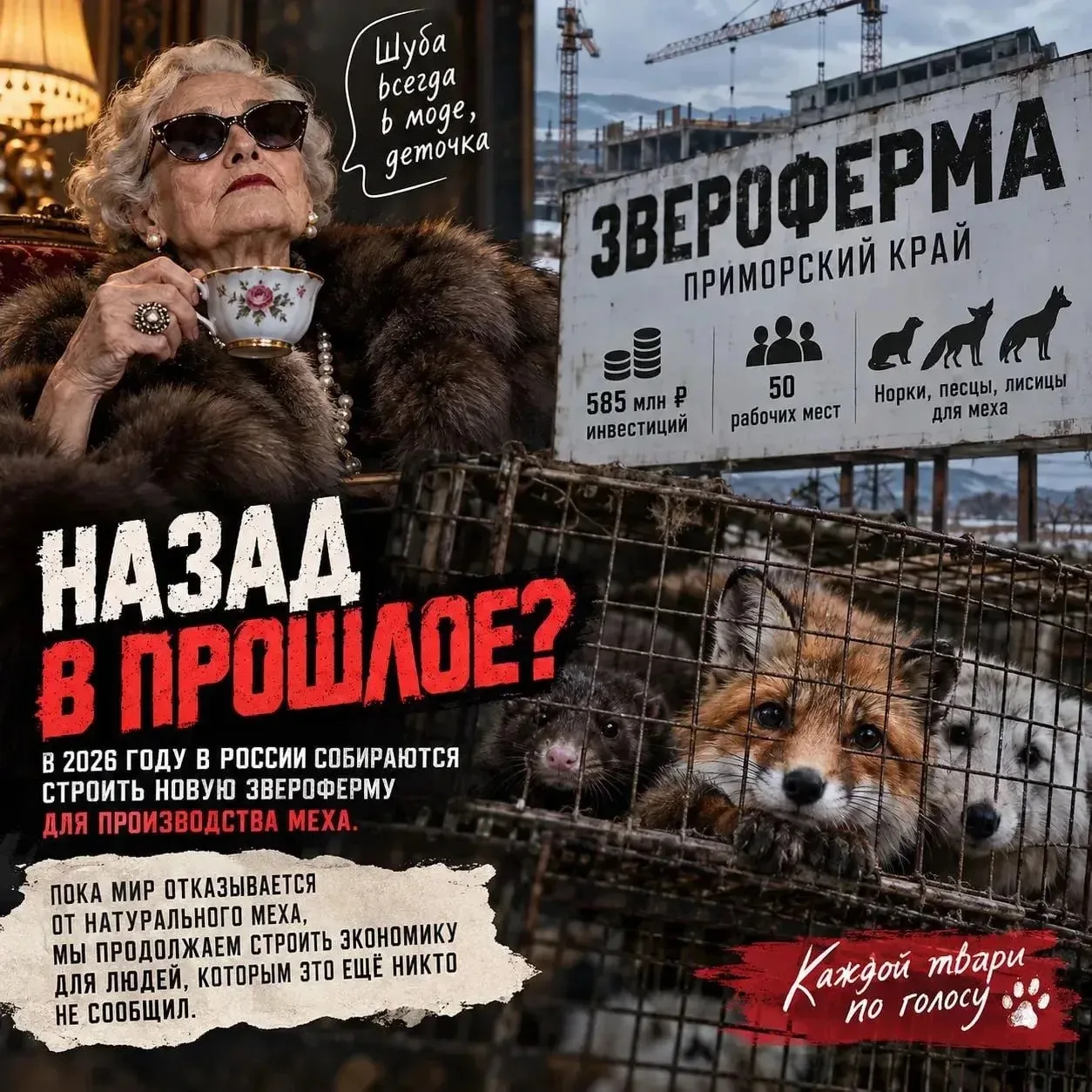 В 2026 году в России планируют  строить звероферму….