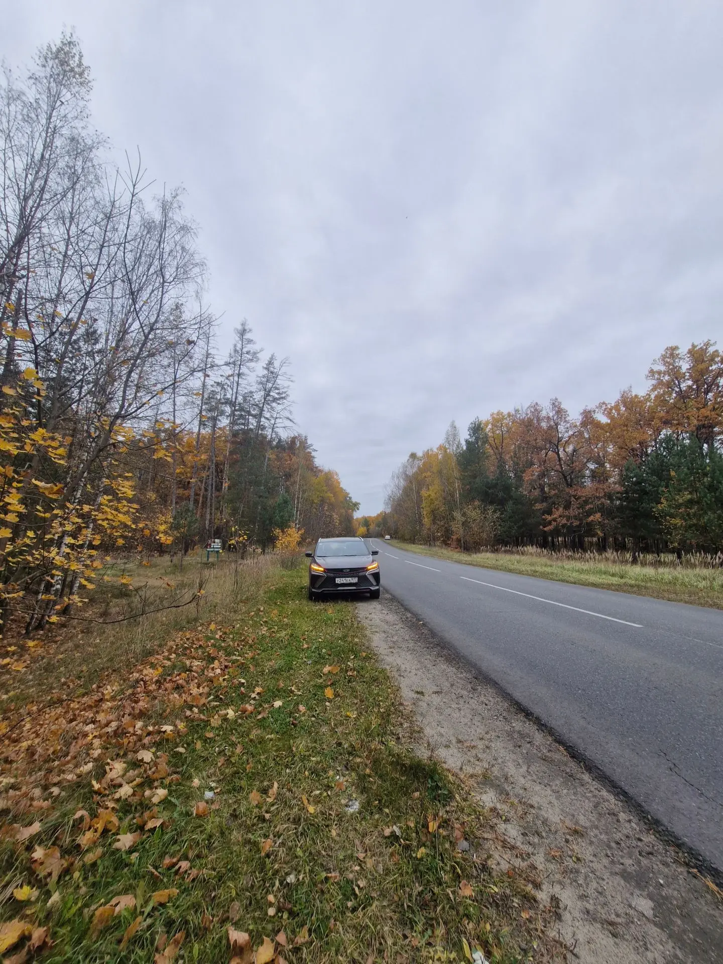 Осень золотая 🍁🍂🍁