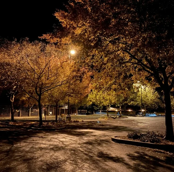 🌙 вечер четверга