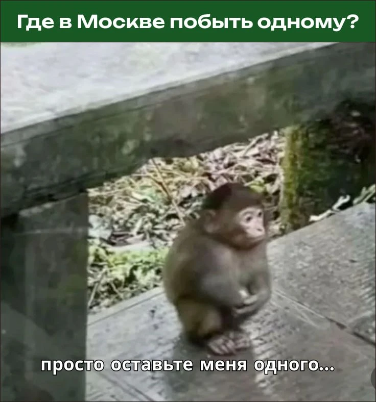 Ингода просто хочется побыть одному. Так, чтобы никто не мешал погружаться в собственны...