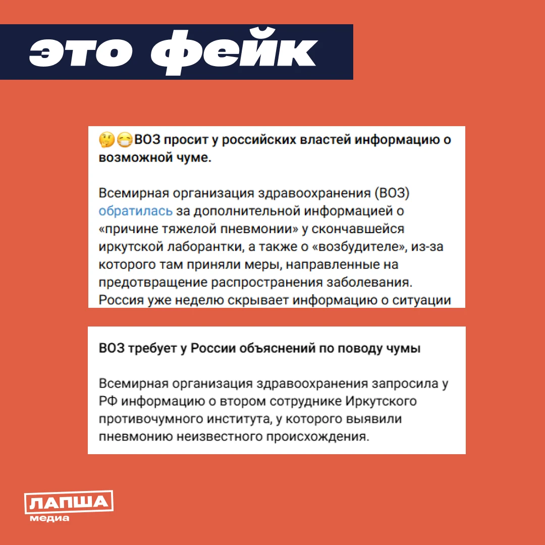 🛑 ВОЗ требует у России разъяснений по поводу чумы, вспышку которой якобы пытаются скры...