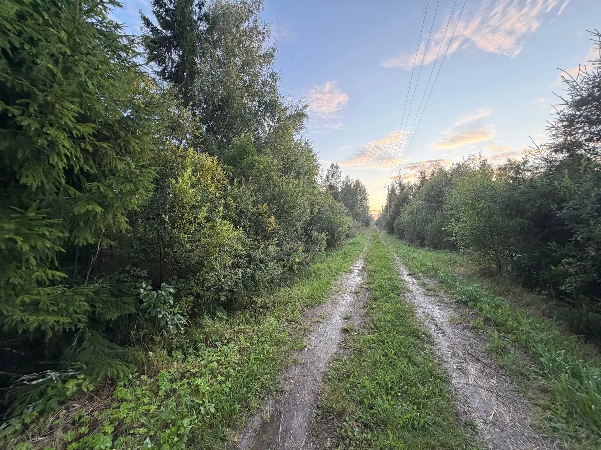 В продаже участок в массиве Посадников Остров, СНТ Аэрофлот.